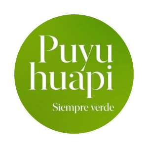 PuyuhuapiCl